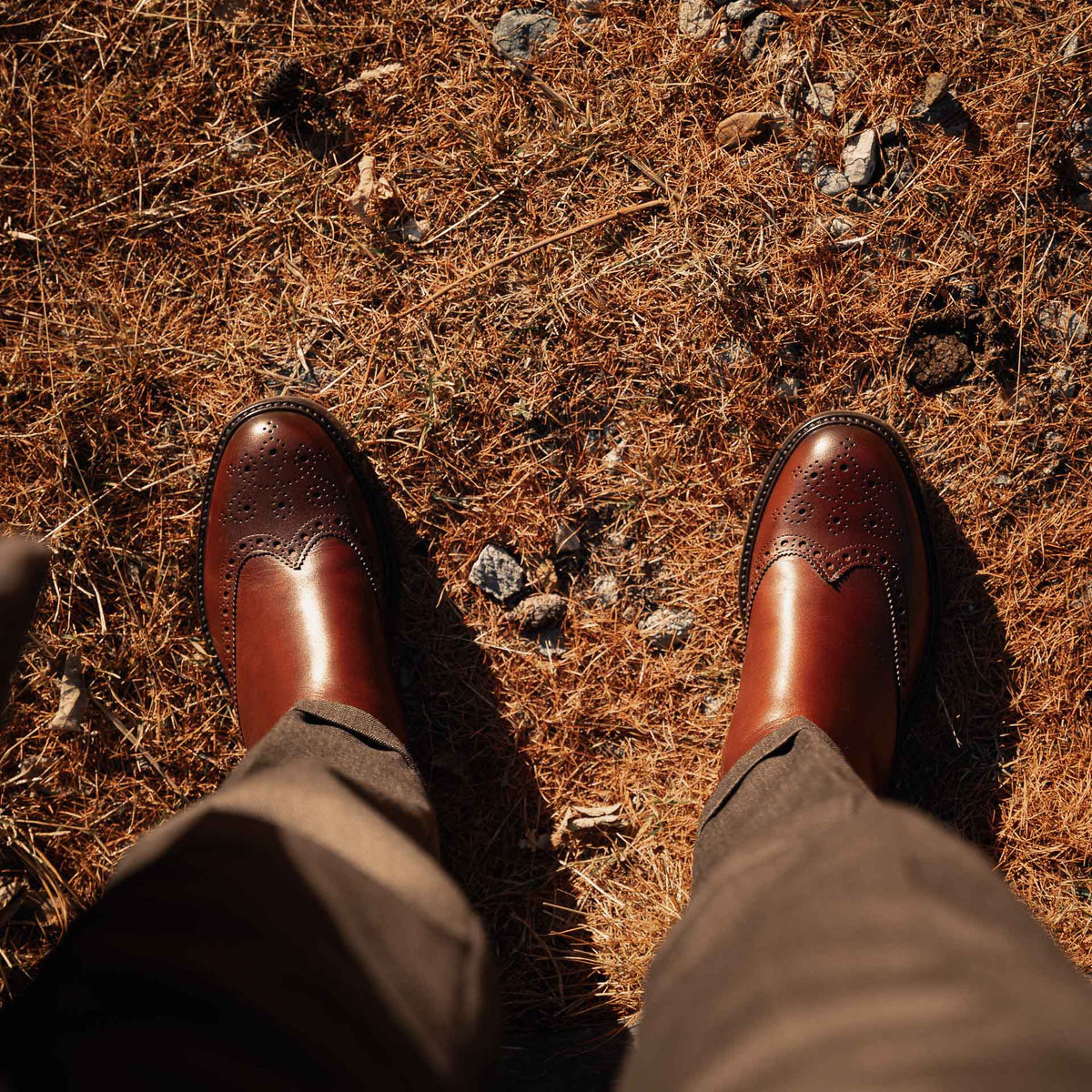 Brown Leather Brogue Chelsea Boots, handcrafted and stylish, showcasing premium craftsmanship from a side view